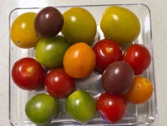 低热量圣女果食用方法_圣女果减肥食谱_scintilla vc
