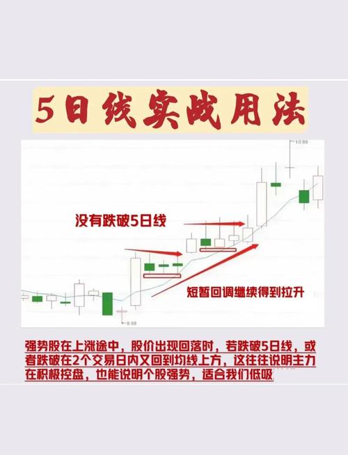 5日均线在股票市场操作中的重要作用及应用要点