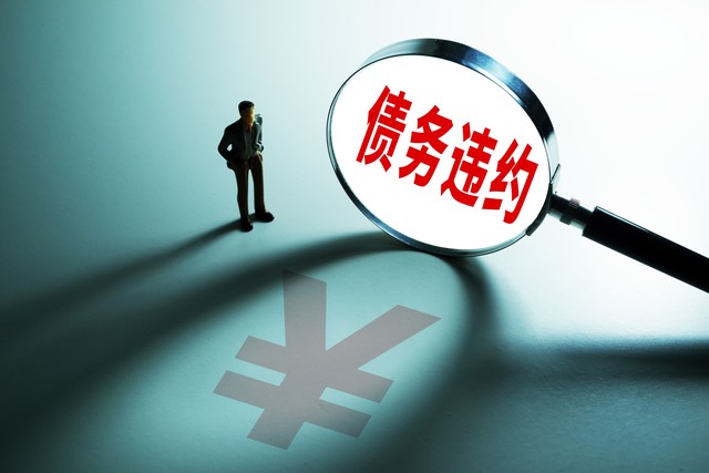 个人贷款违约潮_个人信用贷款的风险_债务循环影响
