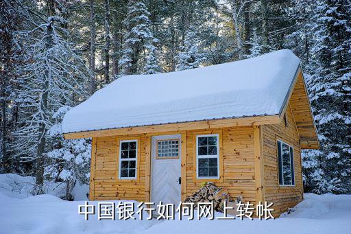 中国银行如何网上转帐