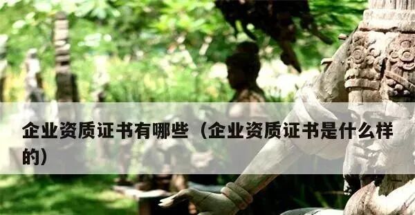 资质证书是什么？经营资质与能力资质详细介绍及相关法规