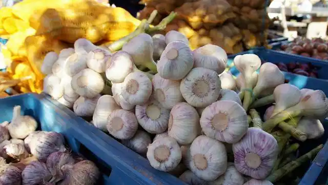 农村人靠勤劳双手创造优质农产品，却愁销售难题咋破？