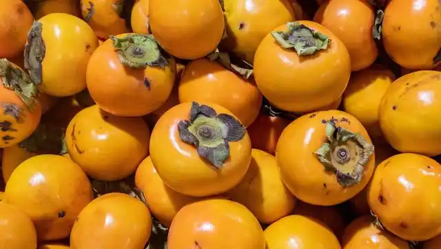 现货农产品交易技巧_农村农产品销售渠道_农村农产品电商销售方法