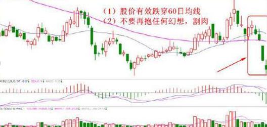 巴菲特的投资智慧_巴菲特价值投资理念_长期主义投资策略
