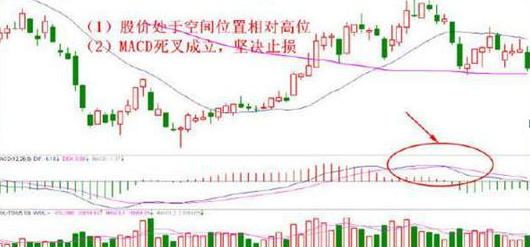 巴菲特的投资智慧_长期主义投资策略_巴菲特价值投资理念