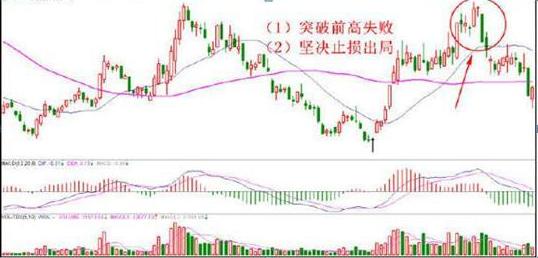 巴菲特的投资智慧_长期主义投资策略_巴菲特价值投资理念