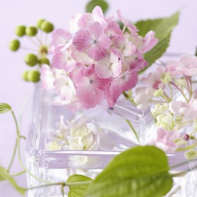 黄金买卖点差_外汇中点差是什么意思_外汇交易点差