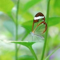 黄金买卖点差_外汇交易点差_外汇中点差是什么意思