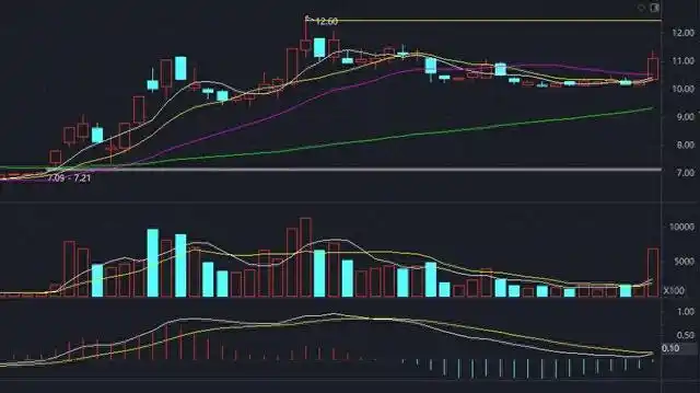 股票创新高后怎么走?大涨之后的调整时机与老鸭头形态实战解析 股票创新高后怎么走?大涨之后的调整时机与老鸭头形态实战解析