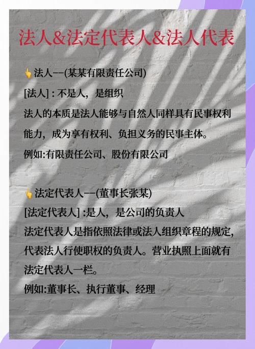 企业法人制度是怎么来的？三方面讲清它的历史与价值