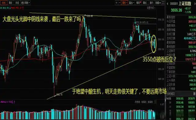 光头光脚大阳线会来吗？当前盘面解析与抄底信号判断