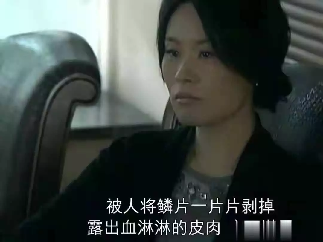 蜗居宋思明海藻真爱_宋思明爱情悲剧_宋太太海藻宋思明