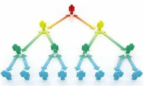 双轨模式走红，优势弊端大揭秘！如何布局才是最佳选择？