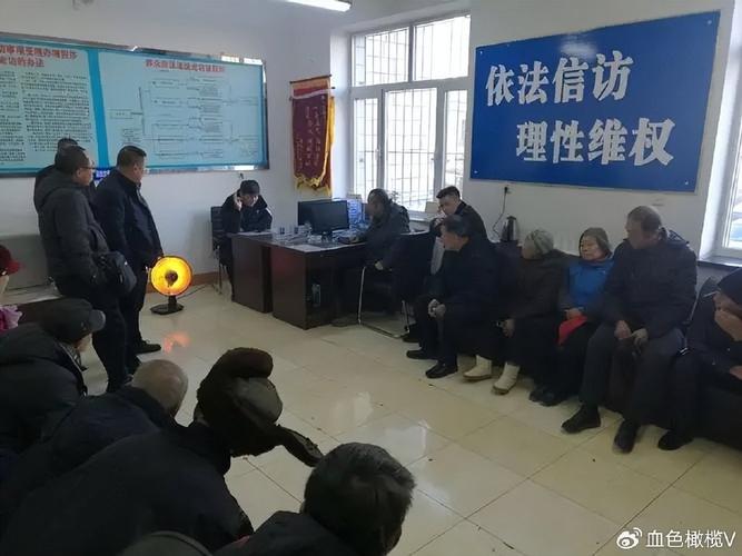 非正常上访获刑_上访被_上访被抓