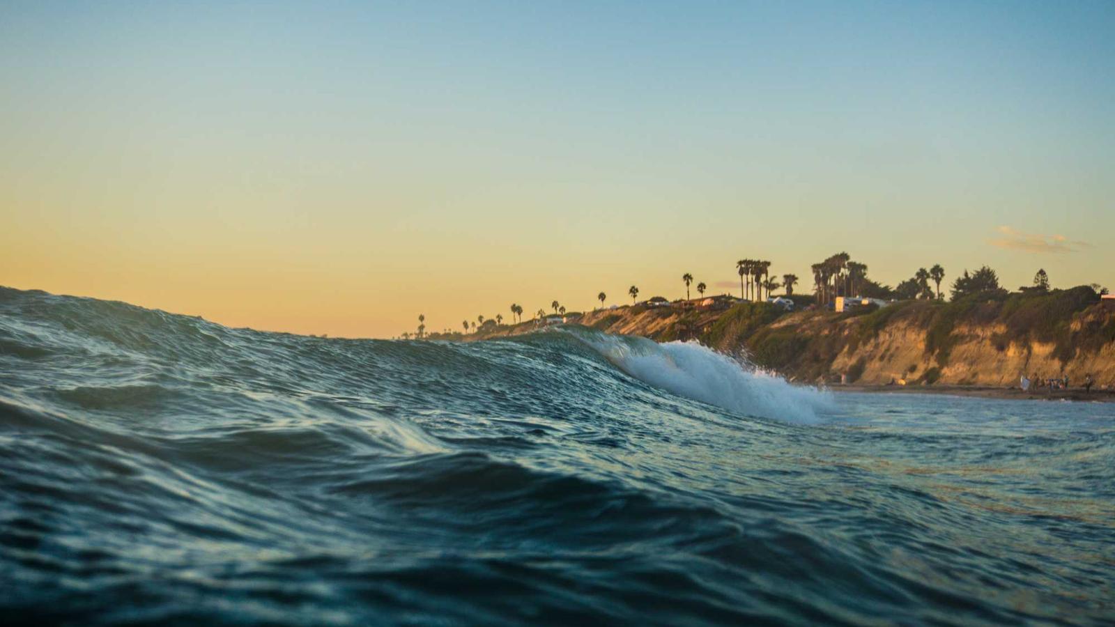 2024年中国股市行业龙头股_股票行业龙头股_科技行业龙头股分析