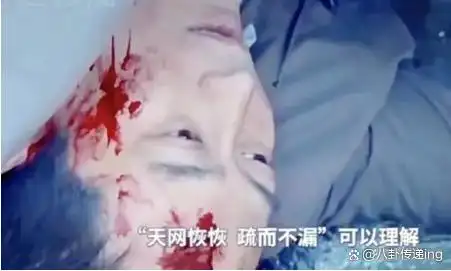 蜗居宋思明意外身亡 海藻失去一切 她将面对怎样的结局？