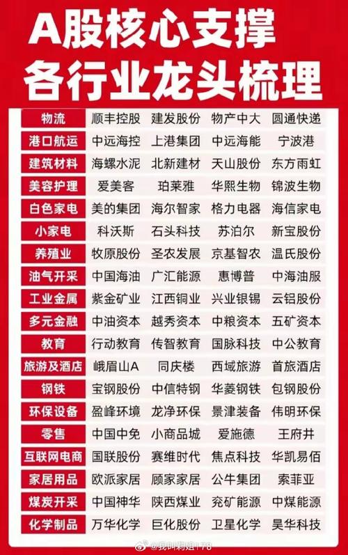 中小板细分行业龙头概念股全览，含多个行业领军企业