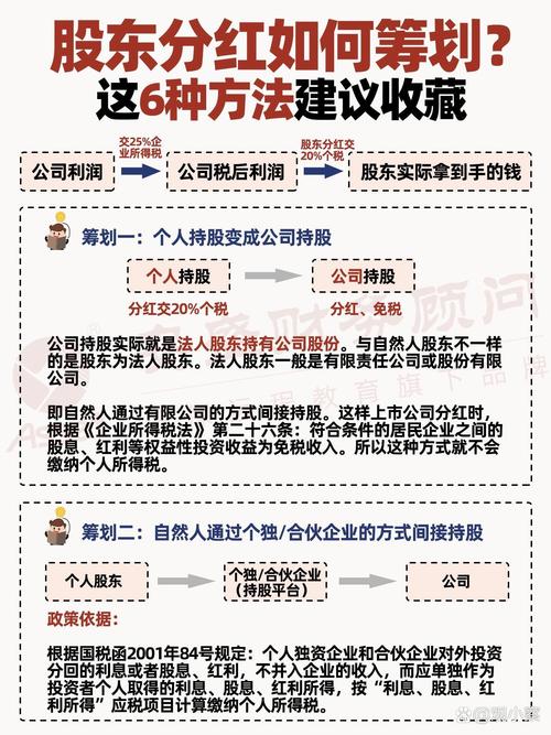 股东分红个人所得税怎么规避？这些财税策略请查收