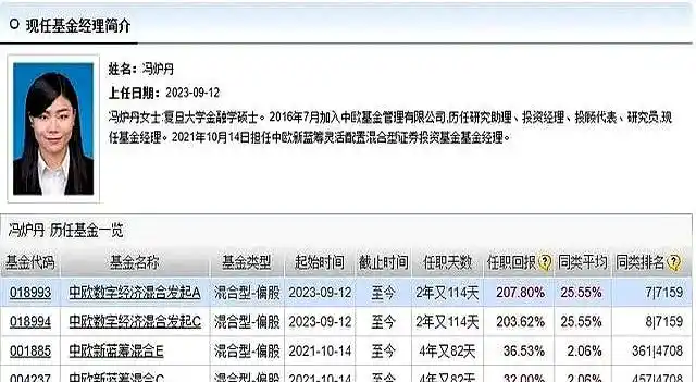 优秀的基金经理_冠军基金收益率233.29%_2025年公募基金年度十大基金经理排行榜