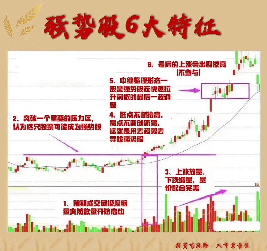 周线选股法_周线选股法100%成功_20万本金稳健投资