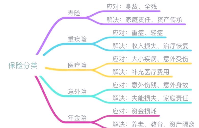 保险学期末重点梳理：风险相关知识全解析