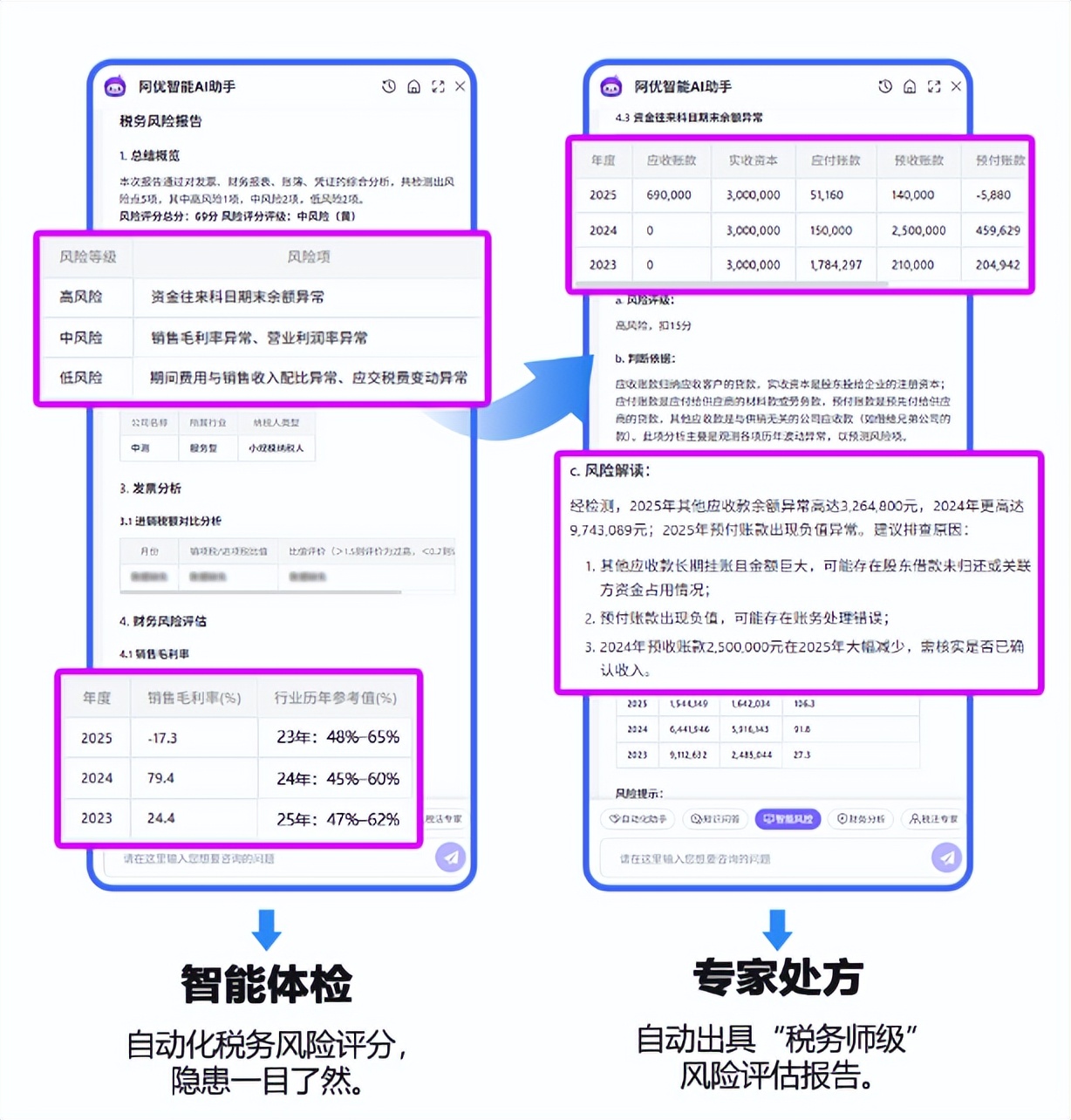 财务软件自动化做账_用来记账目的软件_税务风险检测