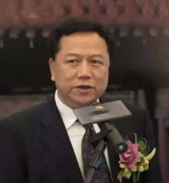 王艳的老公王志才多大_王艳 还珠格格 王志才