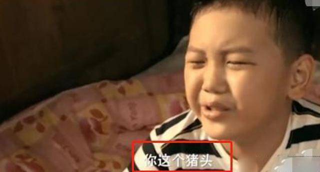 王艳 还珠格格 王志才_王艳的老公王志才多大