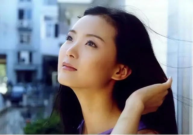 王艳 演艺事业 重返荧幕 晴格格_王艳 丈夫 王志才 婚姻经历_王艳的老公王志才多大