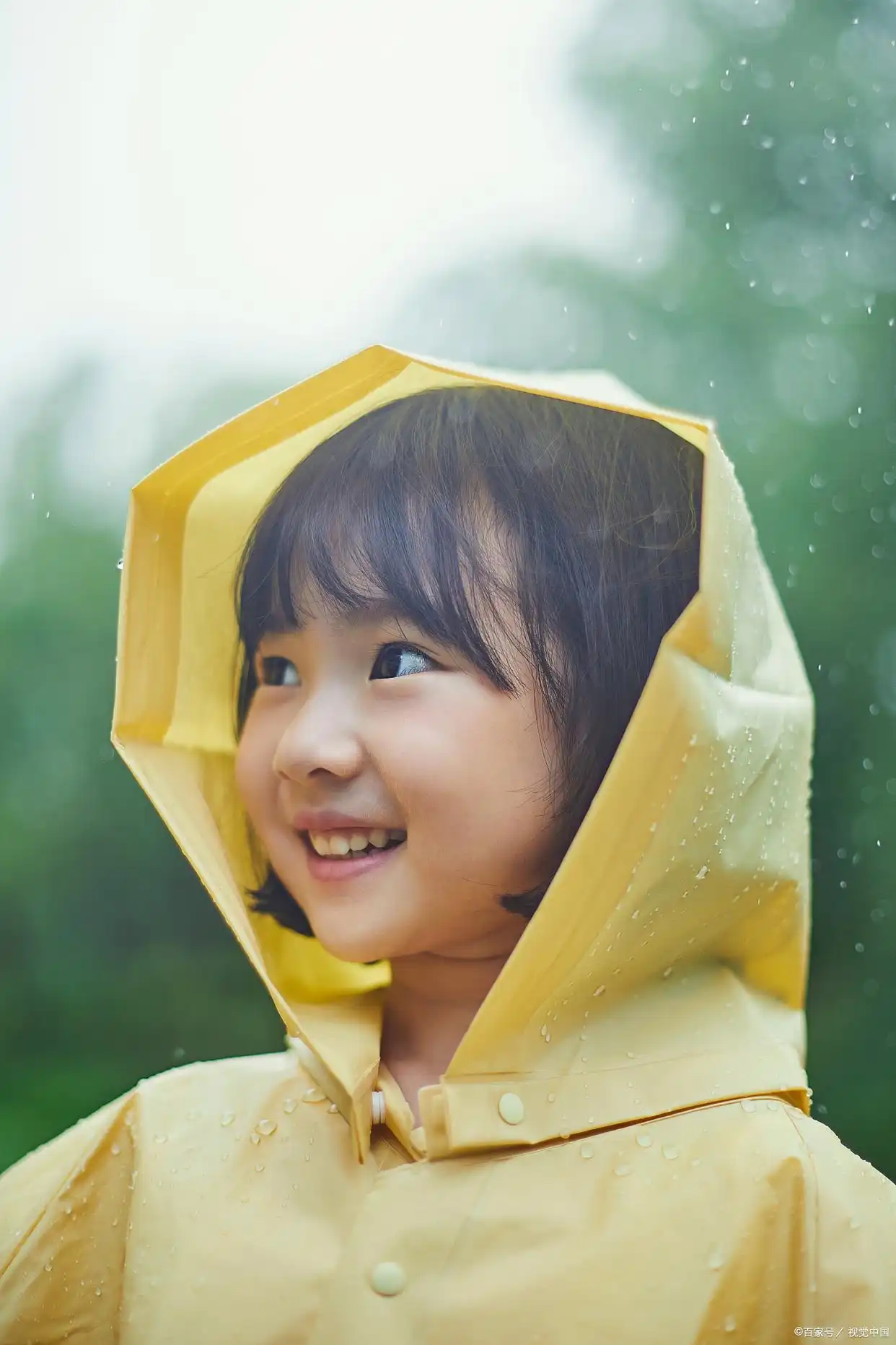 少儿财商培训：教孩子分清需要和想要