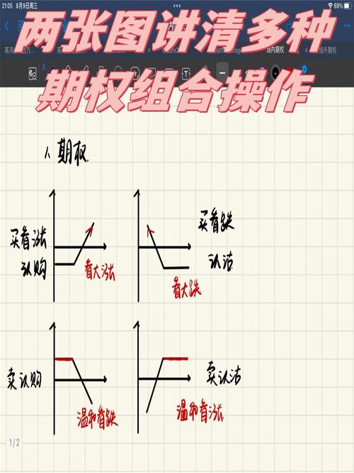 买涨买跌必看：看涨期权和看跌期权，到底怎么用？