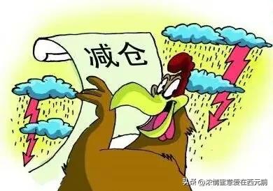 止盈止损公式_怎么找止损点和止盈点_5日线成交量止损法