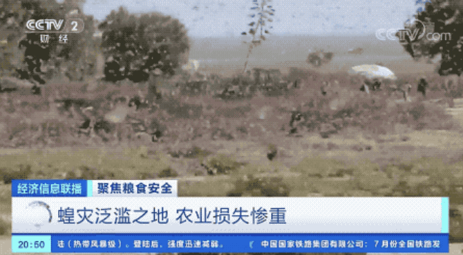 粮食危机要来了？我国有底气应对，手中有粮别慌