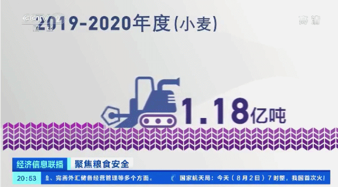 粮食危机 应对_全球粮食供应链危机_中国粮食自给率分析