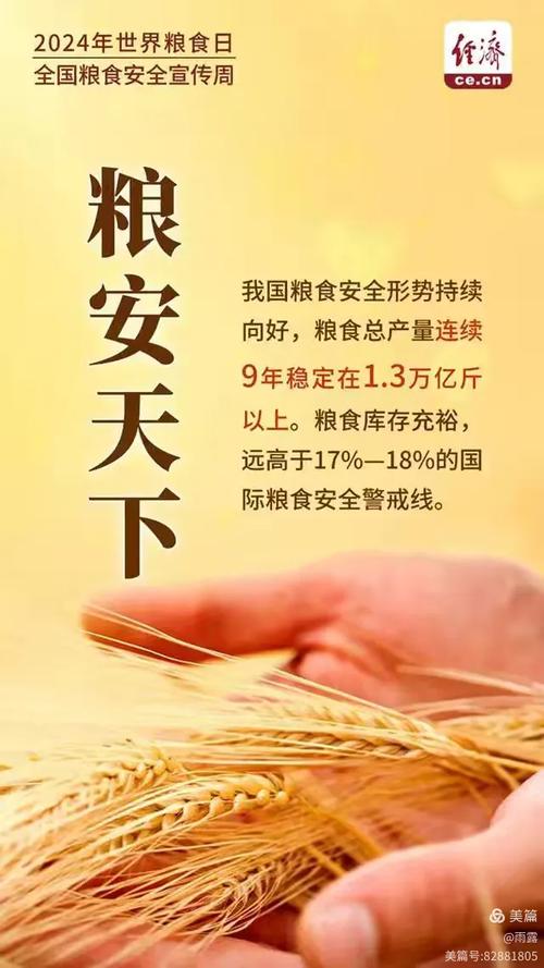 全球粮食供应链危机_粮食危机 应对_中国粮食自给率分析