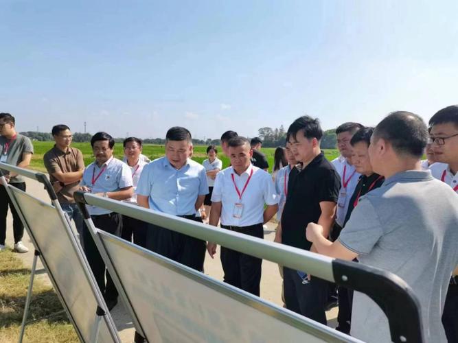 芜湖鸠江区推进江北建设，汤沟镇担当使命服务发展