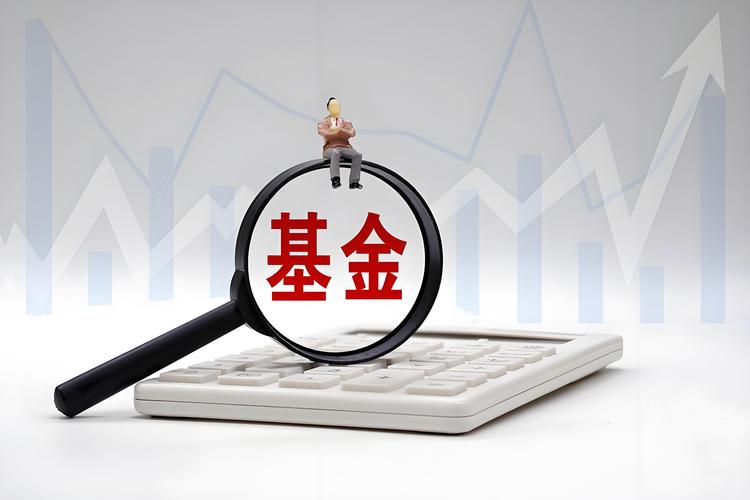 基金经理离职后1年静默期，小公司只剩一棵独苗