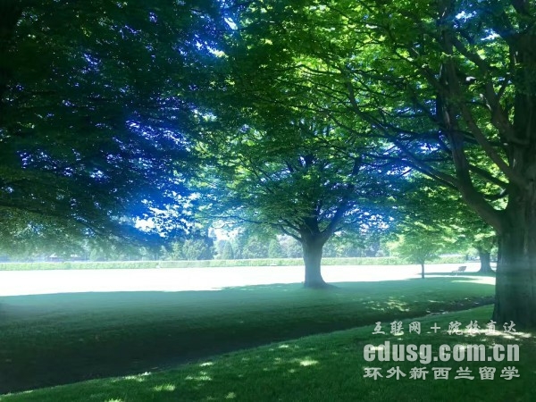 新西兰小学留学申请条件_新西兰中小学留学_新西兰小学留学攻略