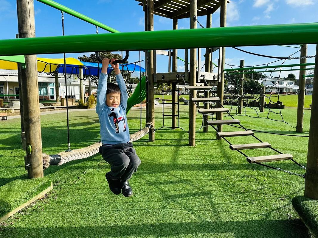 新西兰小学留学攻略_新西兰中小学留学_新西兰小学留学申请条件