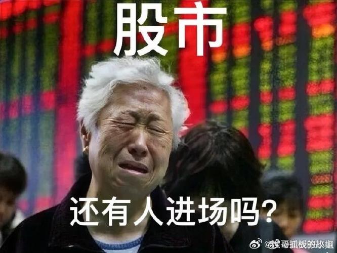散户投资案例_选股决定盈亏_股民亏损原因分析